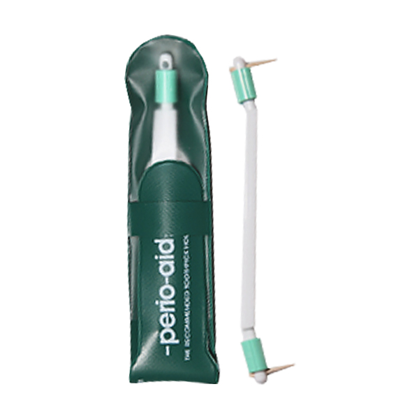 Dental toothpick handle