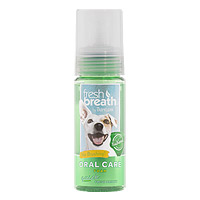 Fresh Breath Oral Care Foam